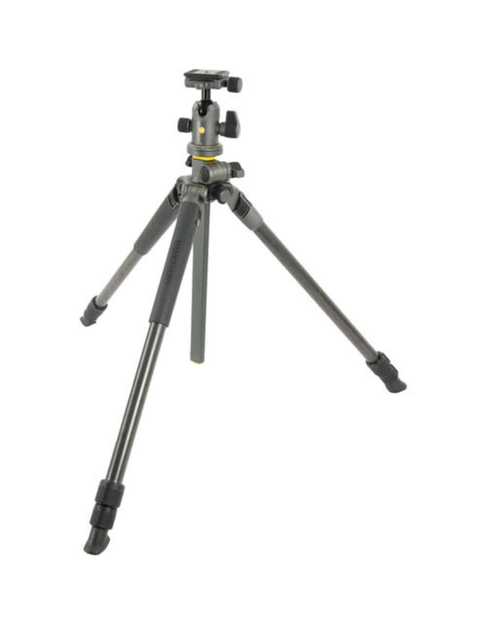 Vanguard Vanguard Alta Pro 2+ 263CB 100 Carbon Fiber Tripod with Ball head