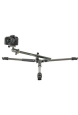 Vanguard Vanguard Alta Pro 2+ 263CB 100 Carbon Fiber Tripod with Ball head