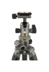 Vanguard Vanguard Alta Pro 2+ 263CB 100 Carbon Fiber Tripod with Ball head
