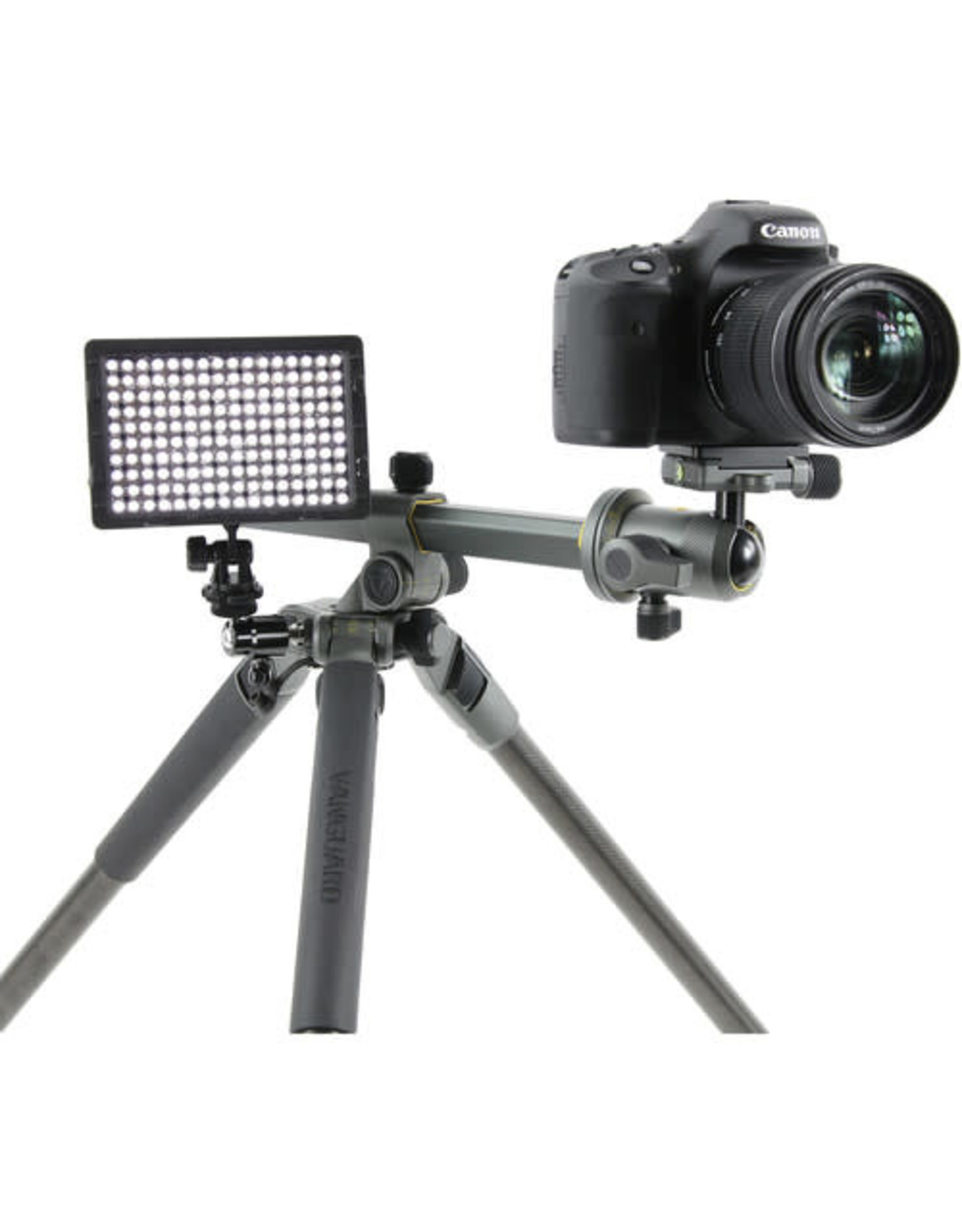 Vanguard Vanguard Alta Pro 2+ 263CB 100 Carbon Fiber Tripod with Ball head