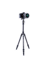 Vanguard Vanguard Vesta TB 204CB Carbon Fiber Tripod with T-46 Ball Head