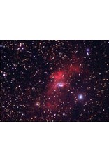 Tele Vue Tele vue TV85 APO Telescope - Evergreen OTA