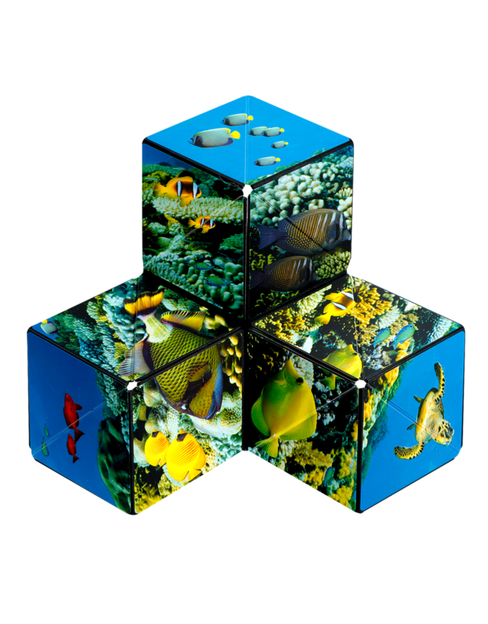 Shashibo Shape Shifting Box (Undersea)