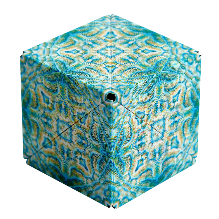 Shashibo Shape Shifting Box (Undersea) - Camera Concepts