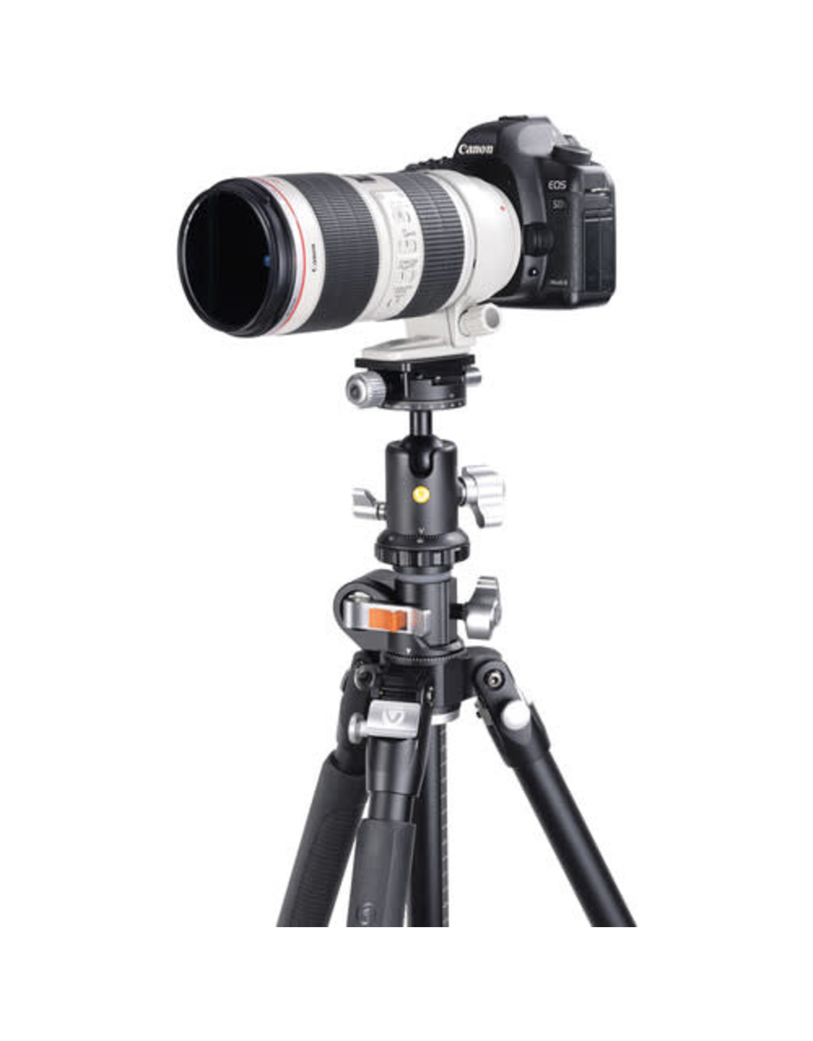 Vanguard VANGUARD VEO BH-160S DUAL-AXIS BALL HEAD