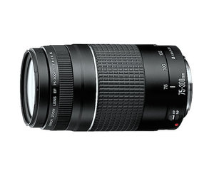 canon-canon-ef-75-300mm-f-4-56