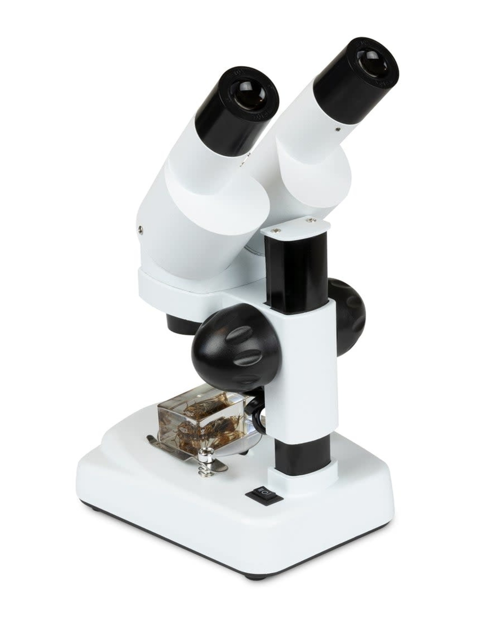 Celestron Celestron Labs S20 Angled Stereo Microscope - 44137 (LIMITED QUANTITIES)