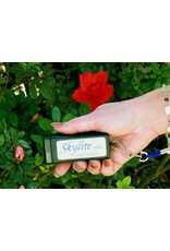 Rigel Rigel Starlite Mini Red LED Flashlight