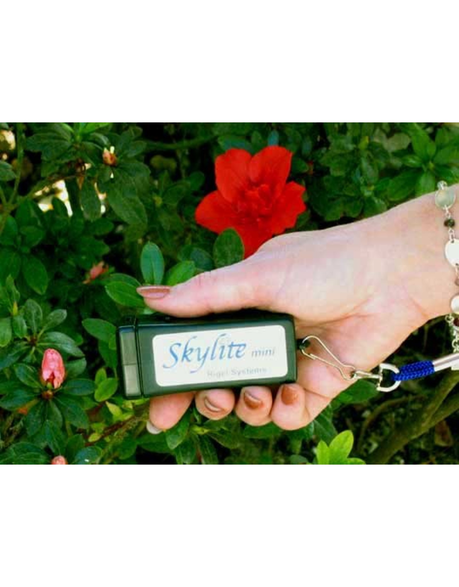 Rigel Rigel Starlite Mini Red LED Flashlight