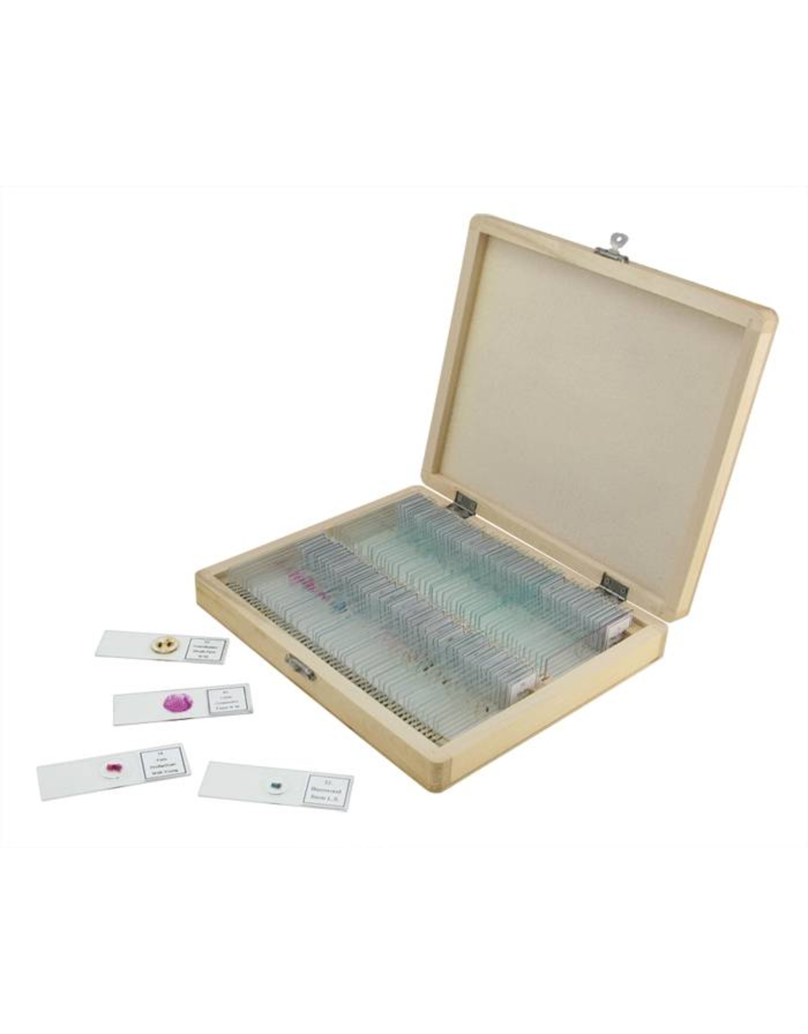 Celestron Celestron Prepared Microscope Slides (100 piece set)