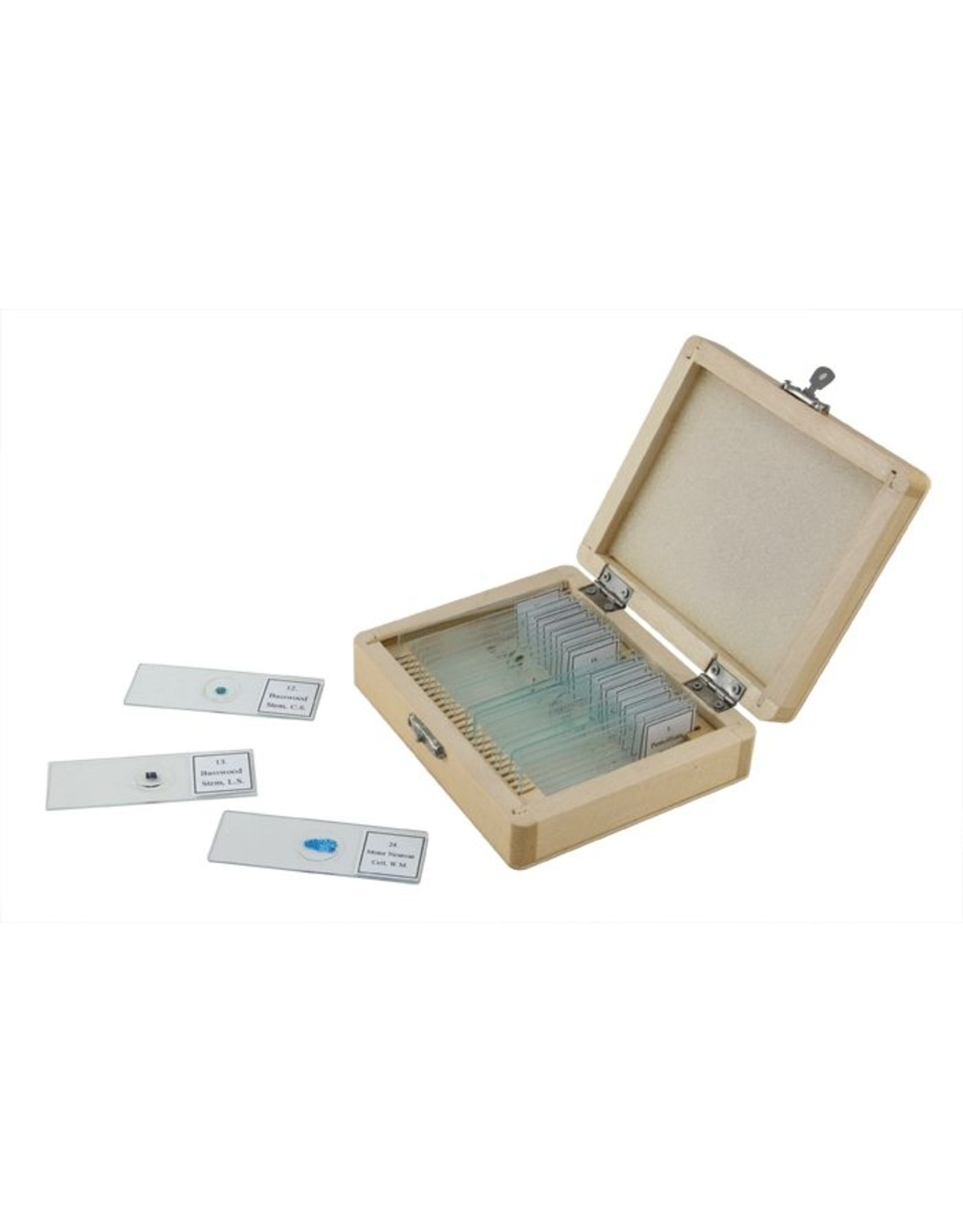 Celestron Celestron Prepared Microscope Slides (25 piece set)