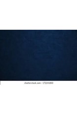 Denny Denny canvas backgrounds  8.5 x8 FT Dark Blue-OM200