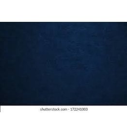 Denny Denny canvas backgrounds  8.5 x8 FT Dark Blue-OM200