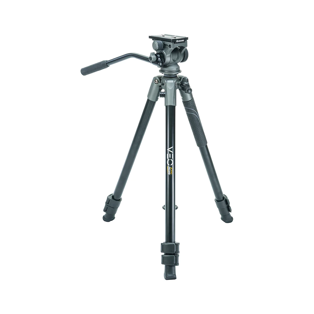 vanguard-vanguard-display-