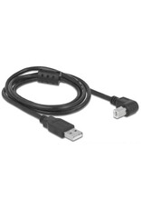 Pegasus Astro Pegasus Astro USB 2.0 Cable Type-A Male to Type-B Male Angled 1 m Black (Pack of 2 Cords)
