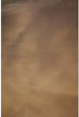 Denny Canvas backgrounds OM 2800 7x8