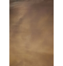 Denny Canvas backgrounds OM 2800 7x8