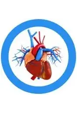 Giant Microbes Giant Microbes Heart Keychain Giant Microbes Giant Microbes Heart Keychain