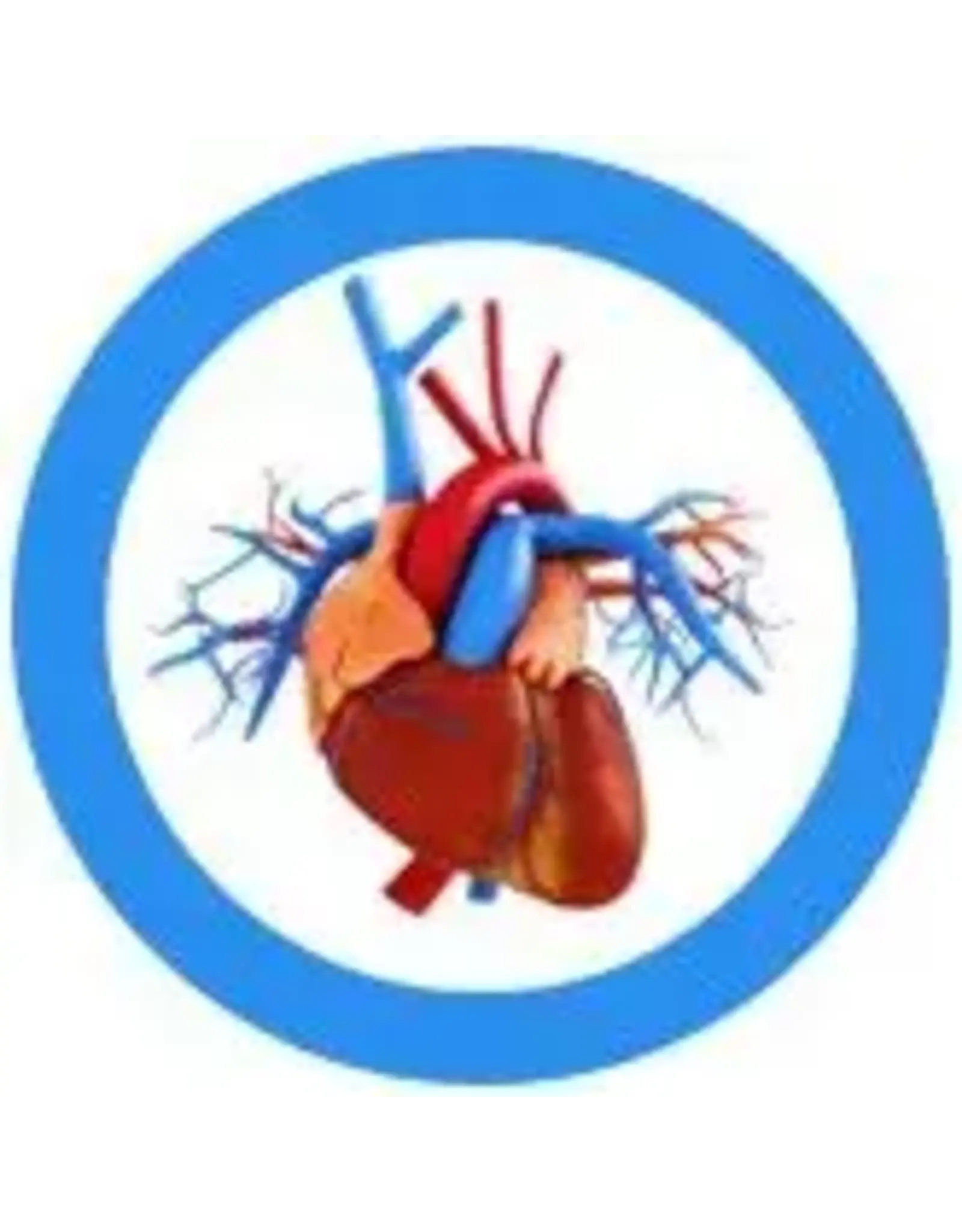 Giant Microbes Giant Microbes Heart Keychain