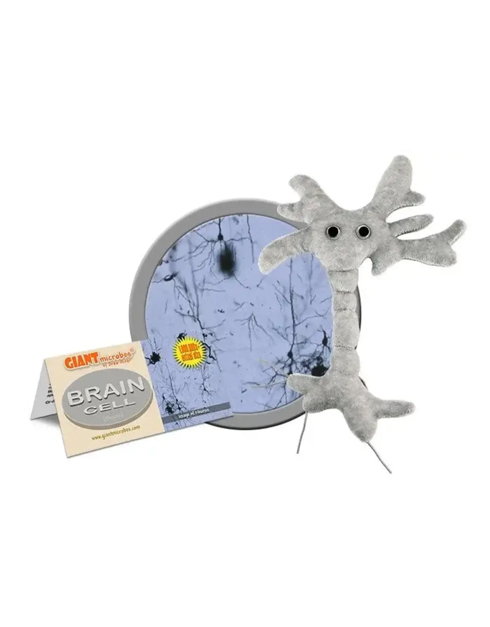 Giant Microbes Giant Microbes Brain Cell Plush