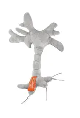 Giant Microbes Giant Microbes Brain Cell Plush