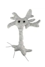 Giant Microbes Giant Microbes Brain Cell Plush