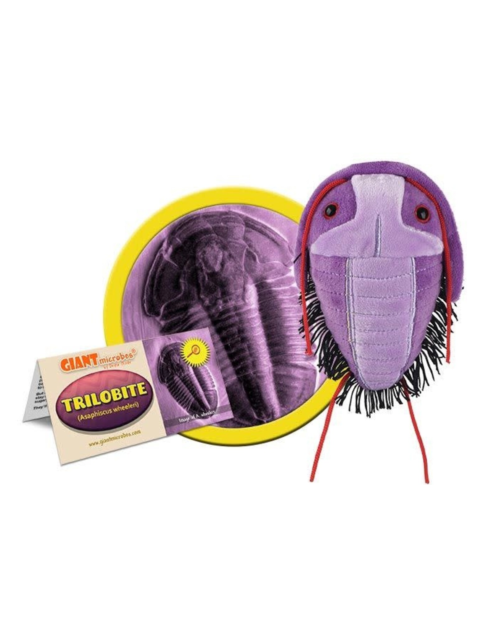 Giant Microbes Giant Microbes Trilobite Plush