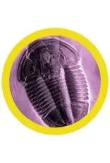 Giant Microbes Giant Microbes Trilobite Plush