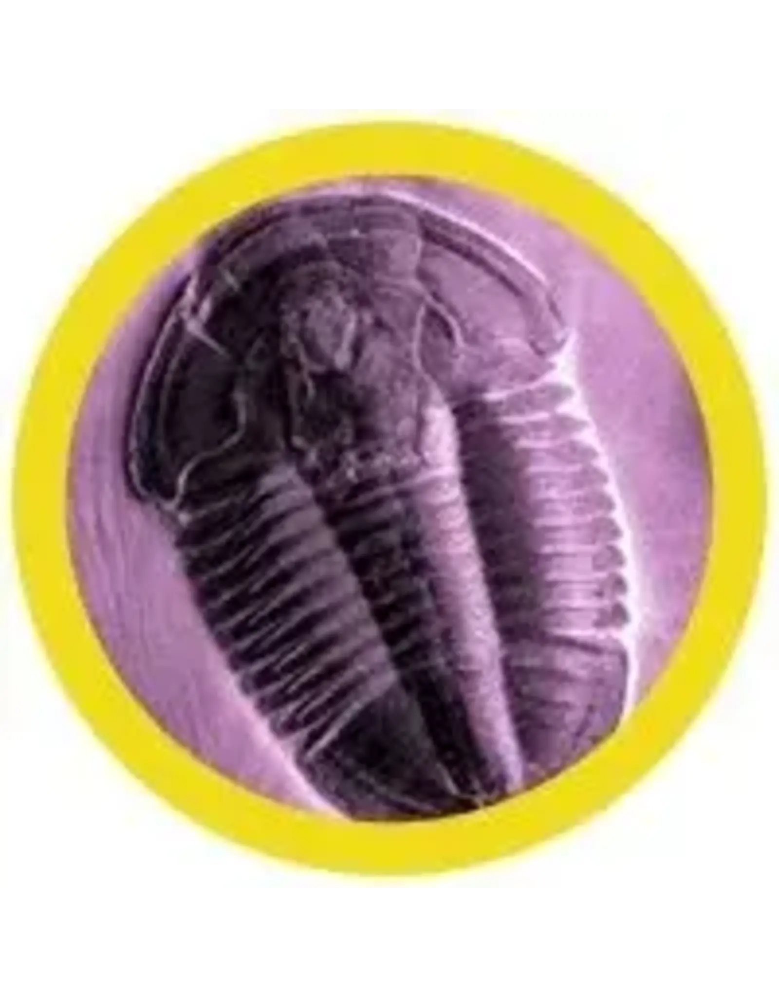 Giant Microbes Giant Microbes Trilobite Plush