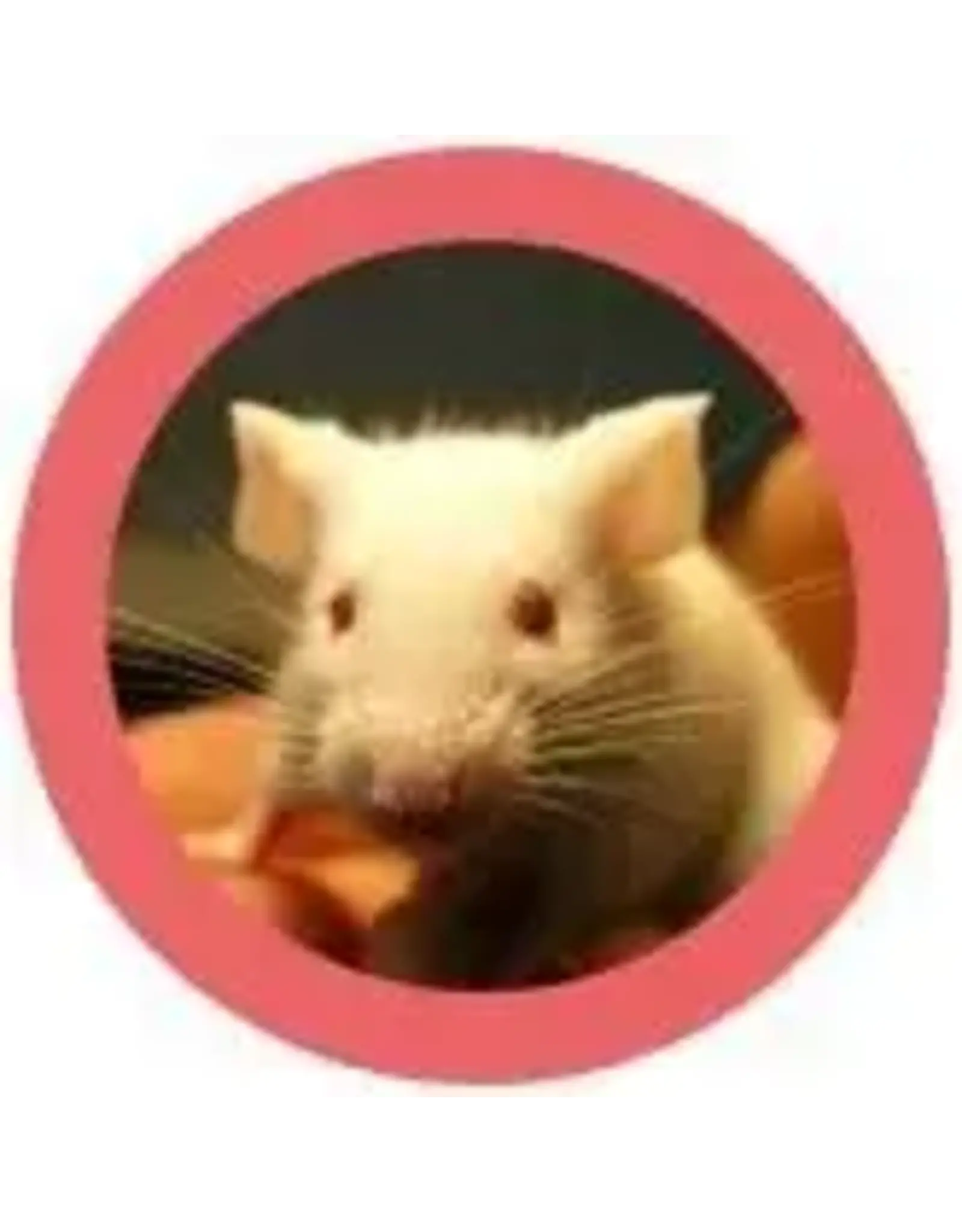 Giant Microbes Giant Microbes White Lab Mouse Plush