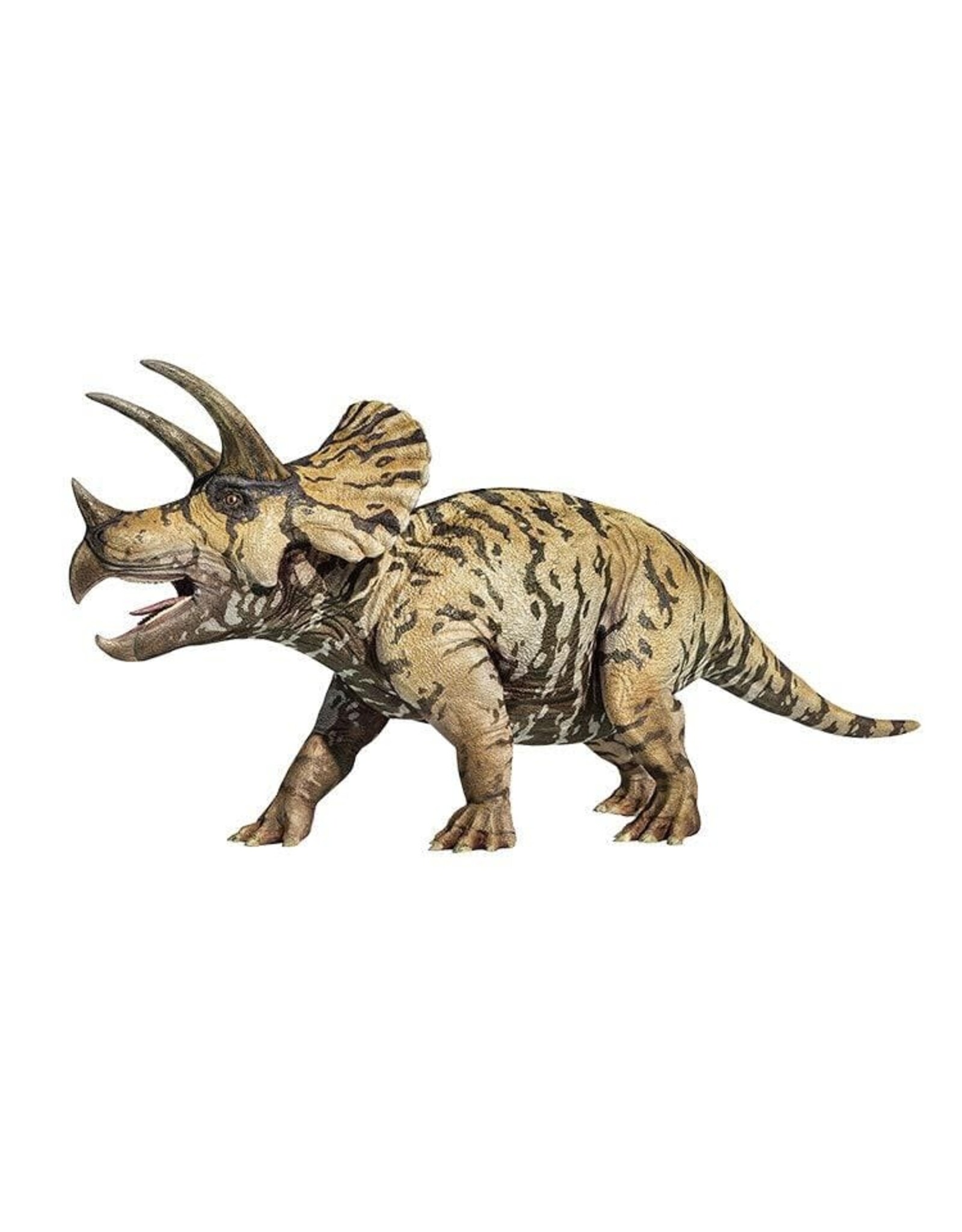 Giant Microbes Fuzzy Fossils Triceratops Skull Plush