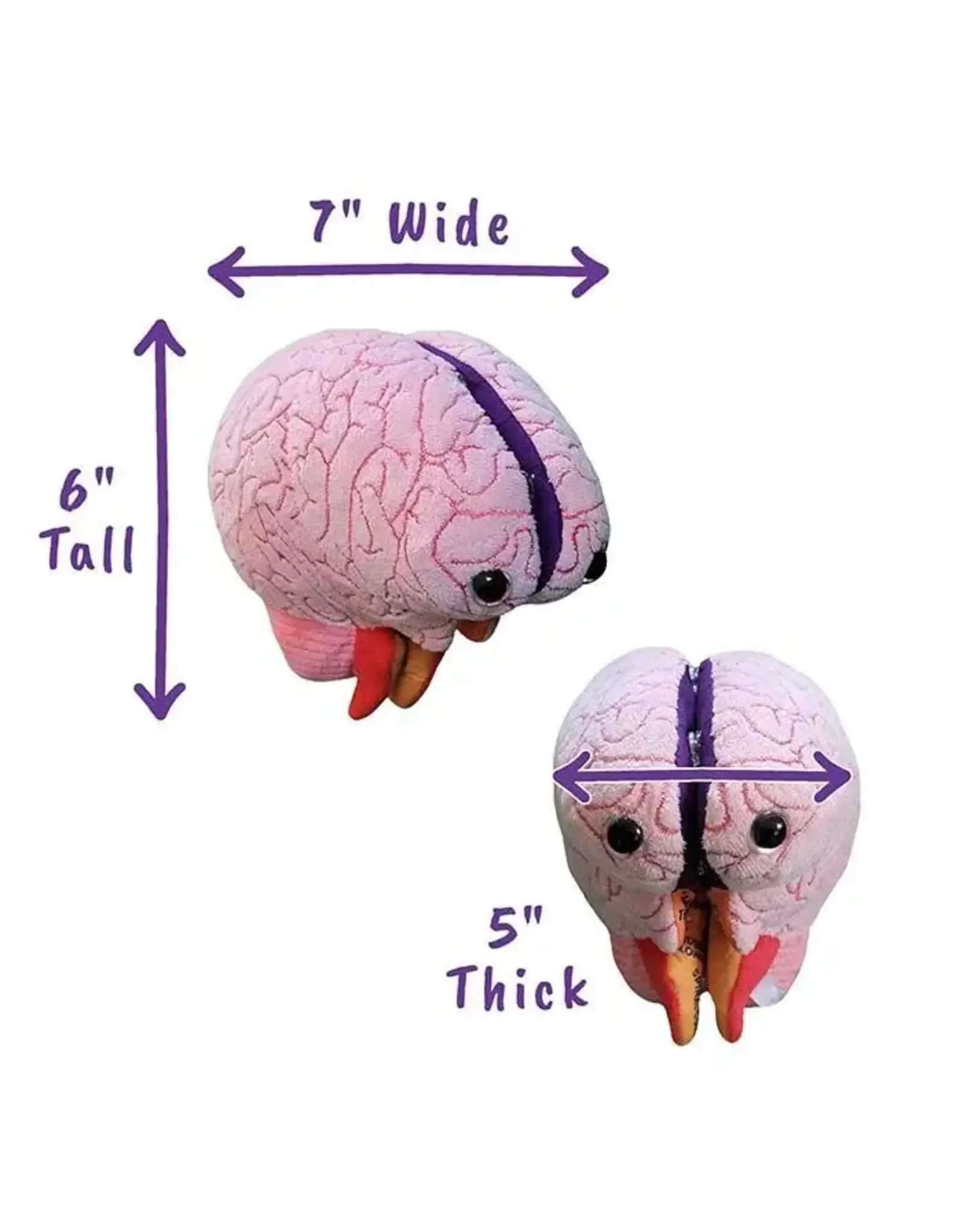Giant Microbes Giant Microbes Human Brain Model