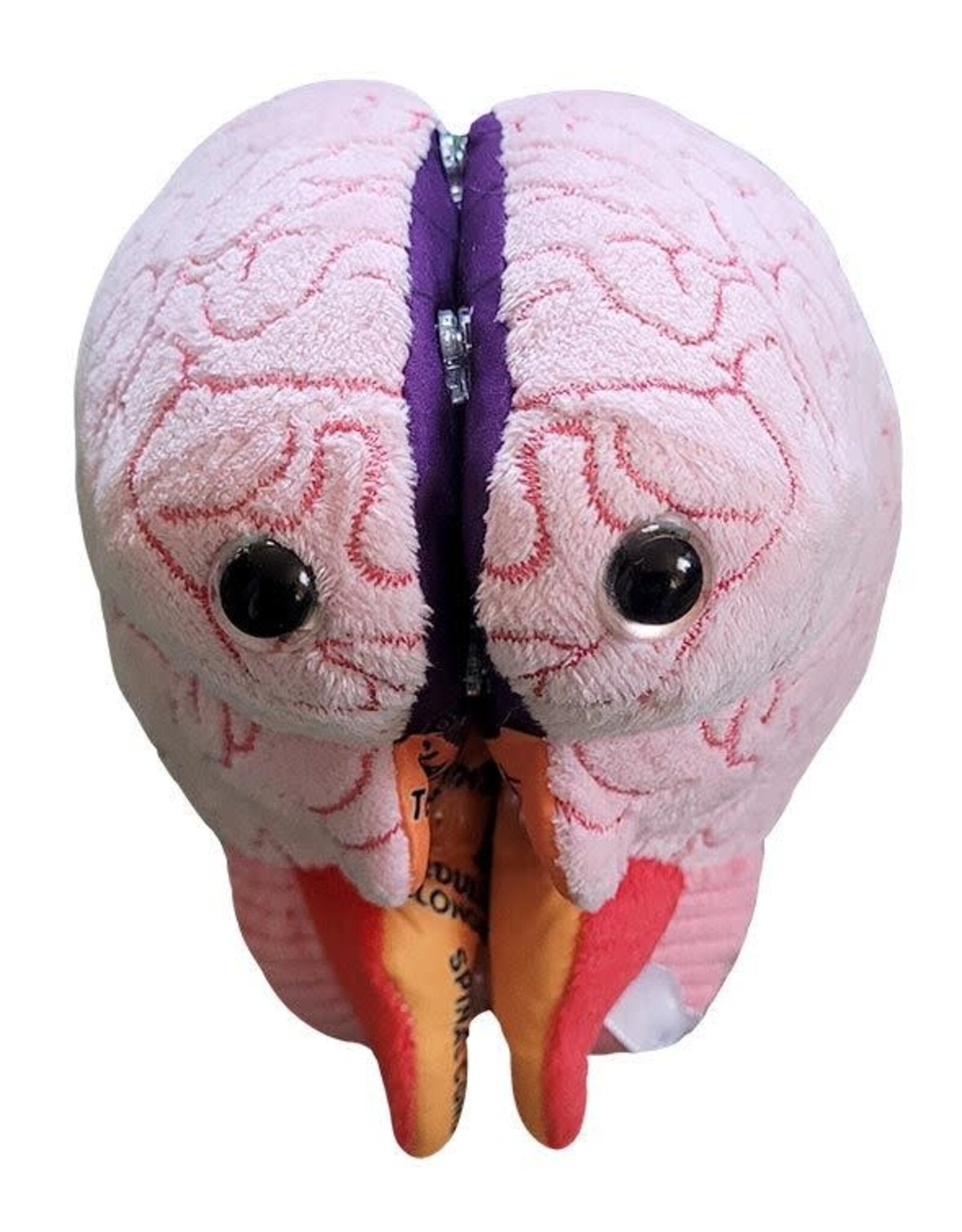 Giant Microbes Giant Microbes Human Brain Model