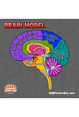 Giant Microbes Giant Microbes Human Brain Model