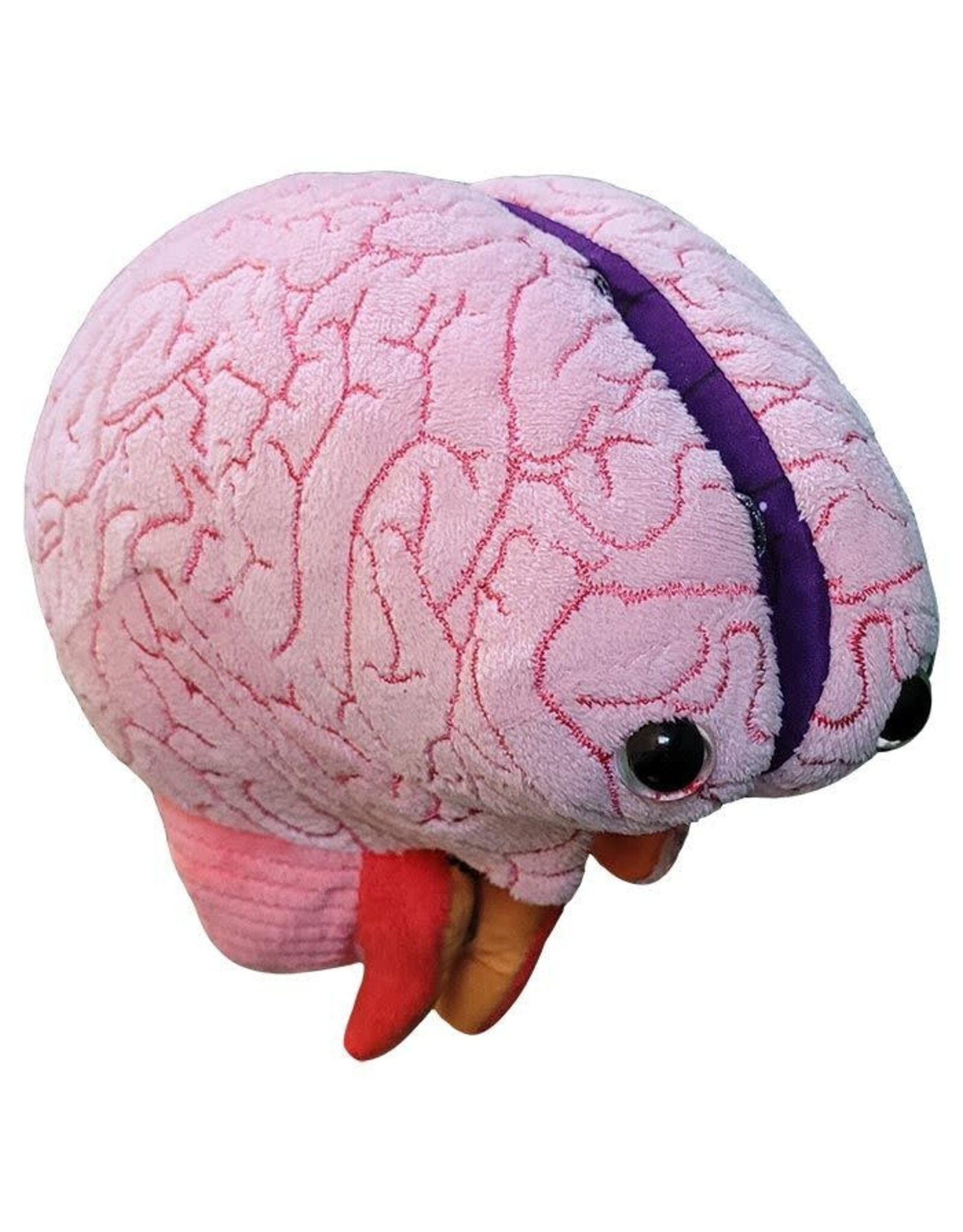 Giant Microbes Giant Microbes Human Brain Model