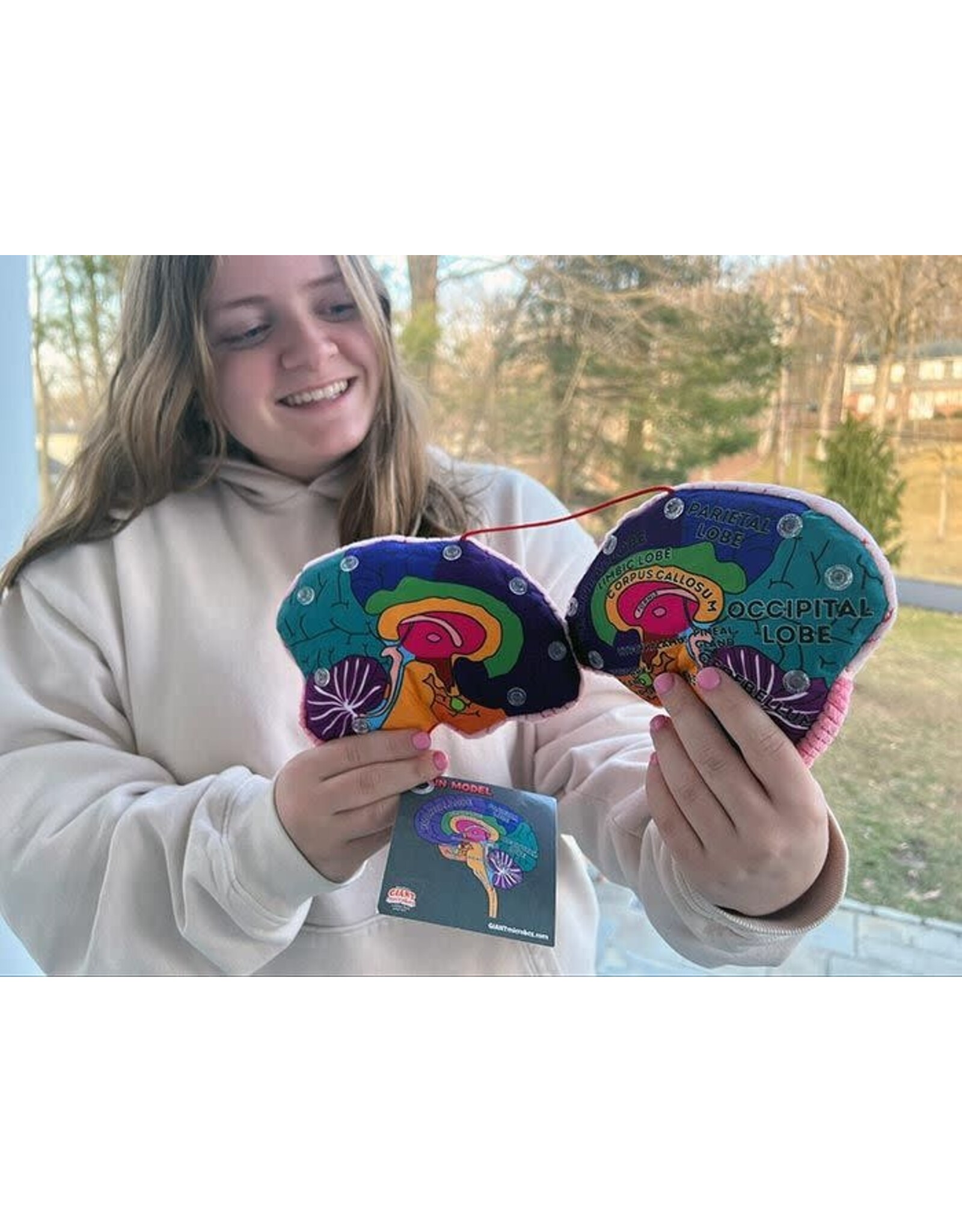 Giant Microbes Giant Microbes Human Brain Model