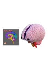 Giant Microbes Giant Microbes Human Brain Model