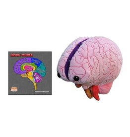 Giant Microbes Giant Microbes Human Brain Model