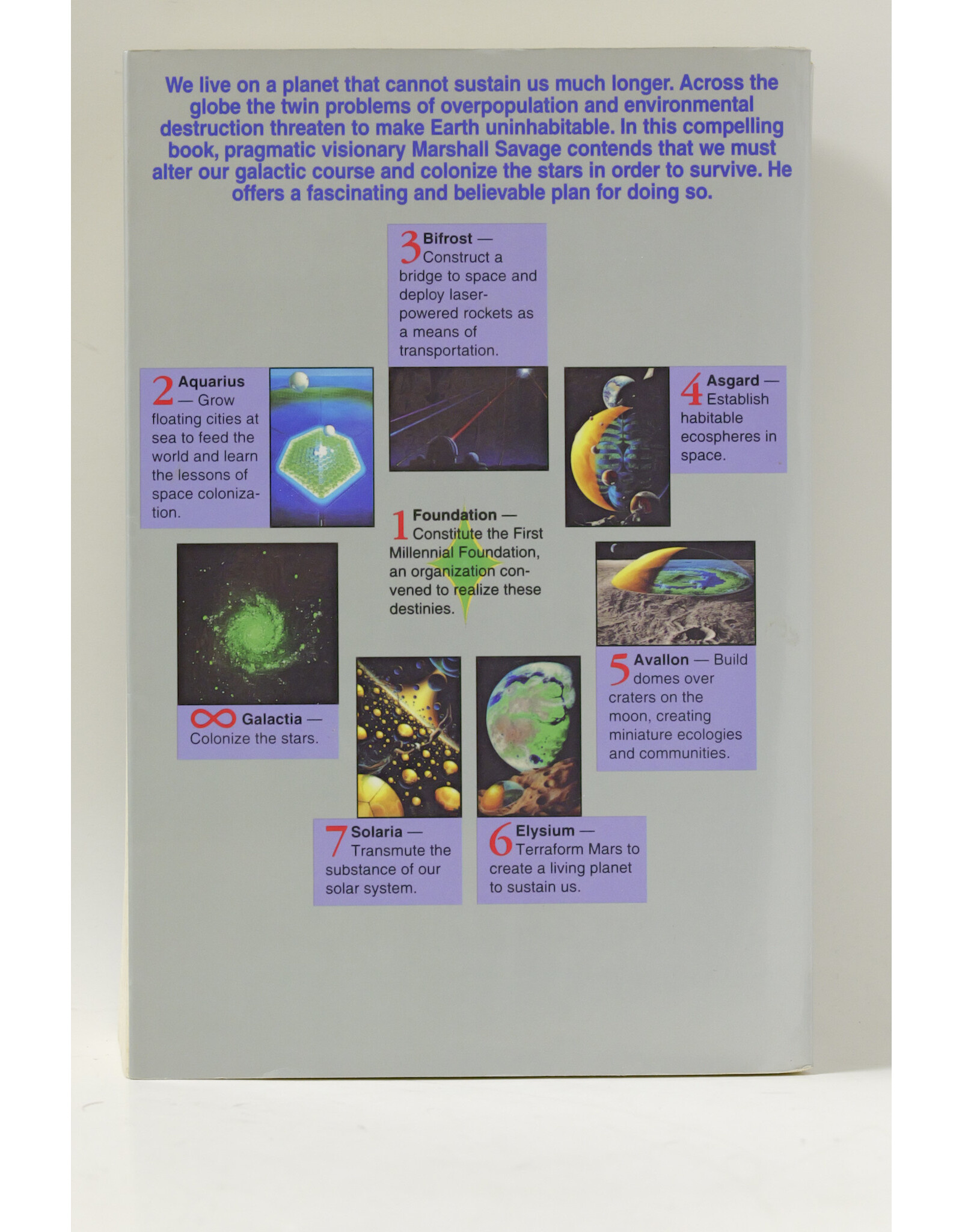 The Millennial Project: Colonizing the Galaxy in Eight Easy Steps by Marshall T. Savage