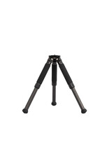 ZWO ZWO TC20 & TH10 Tripod Head Package for SeeStar S30/S50