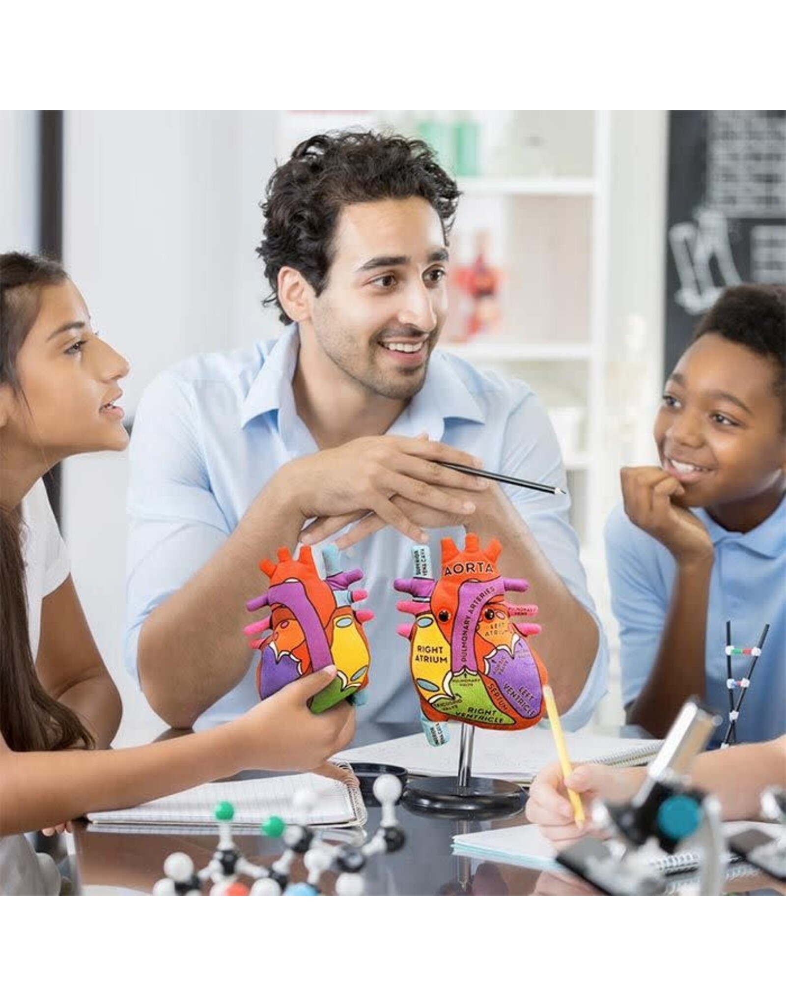 Giant Microbes Giant Microbes Heart Model