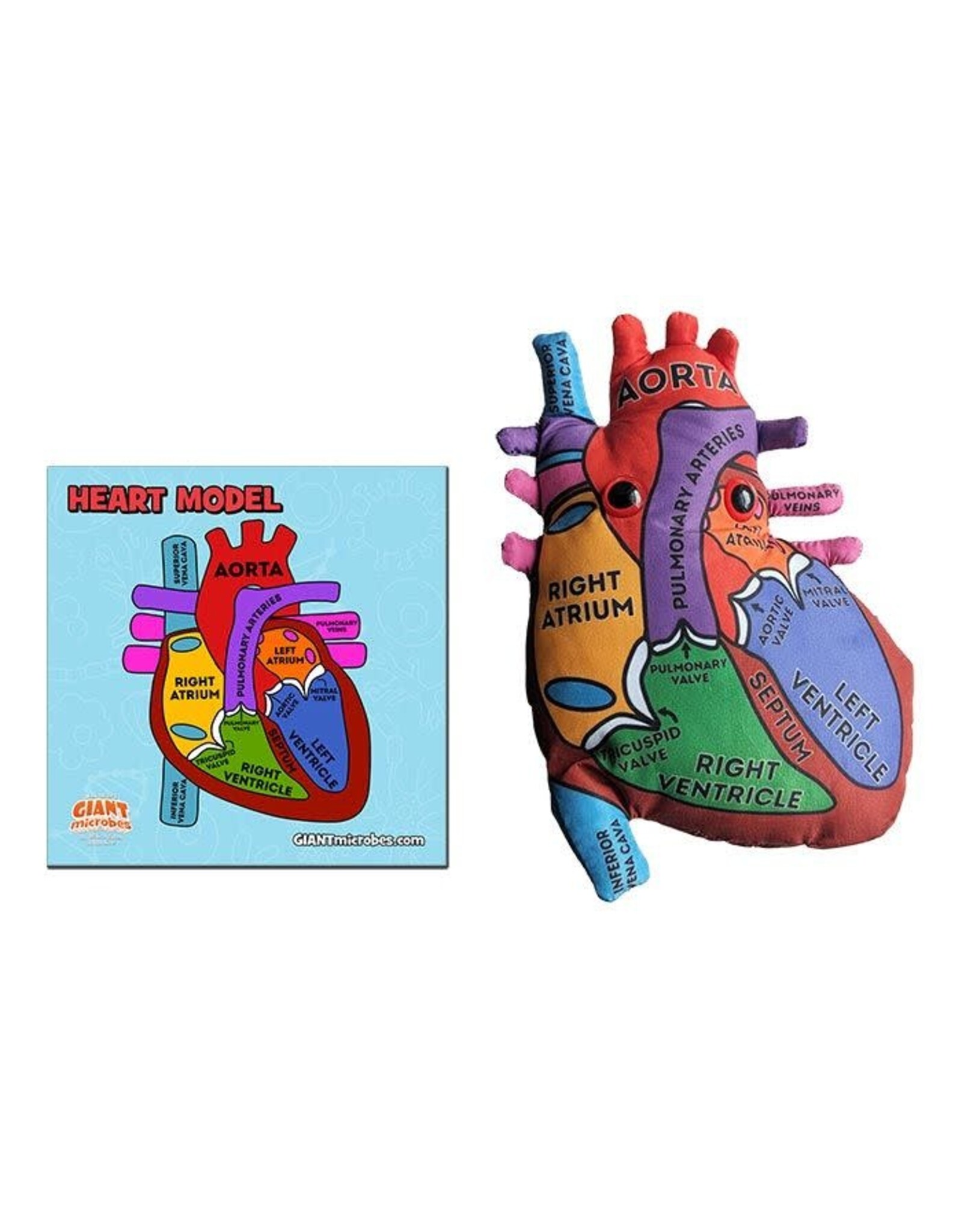 Giant Microbes Giant Microbes Heart Model