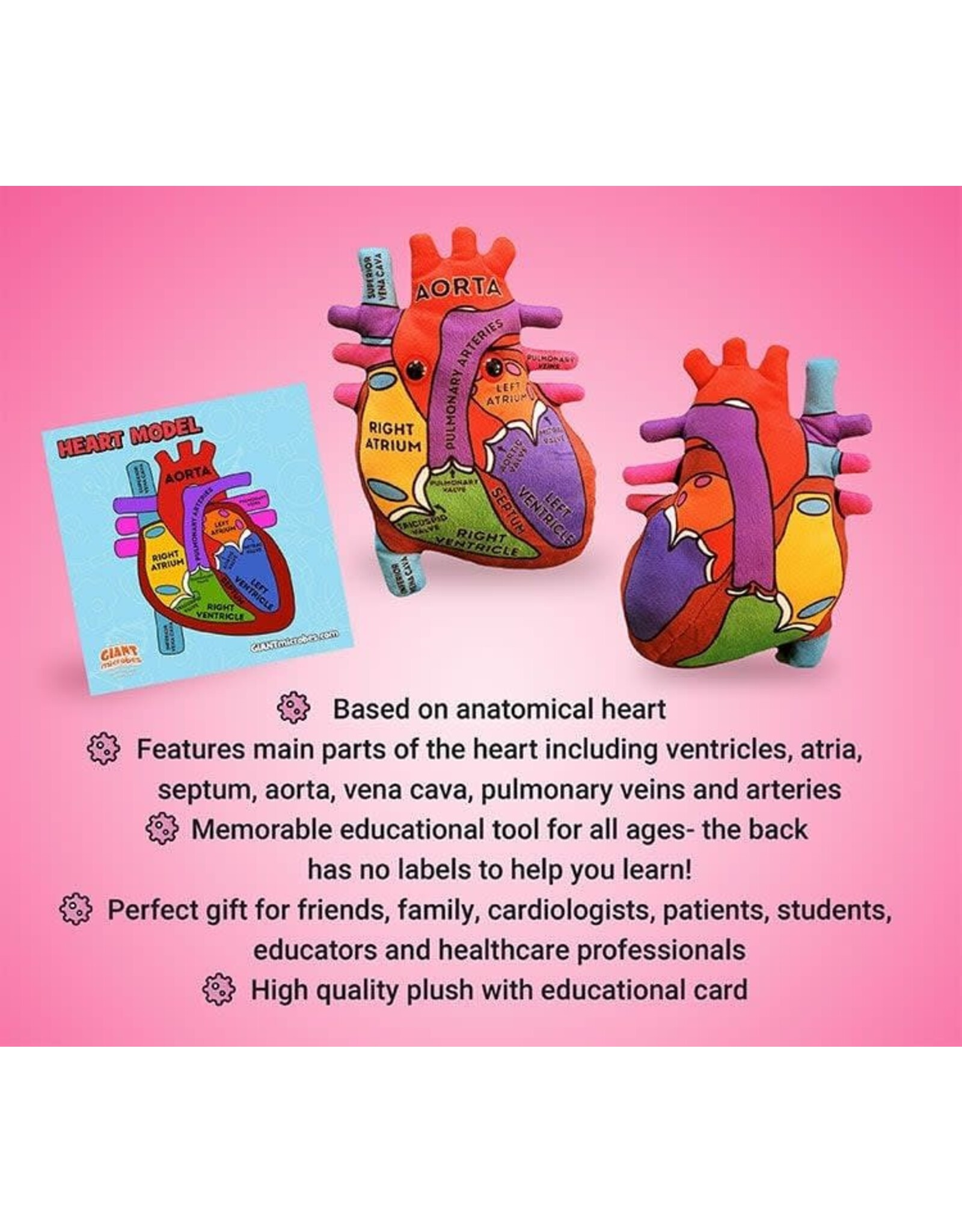 Giant Microbes Giant Microbes Heart Model
