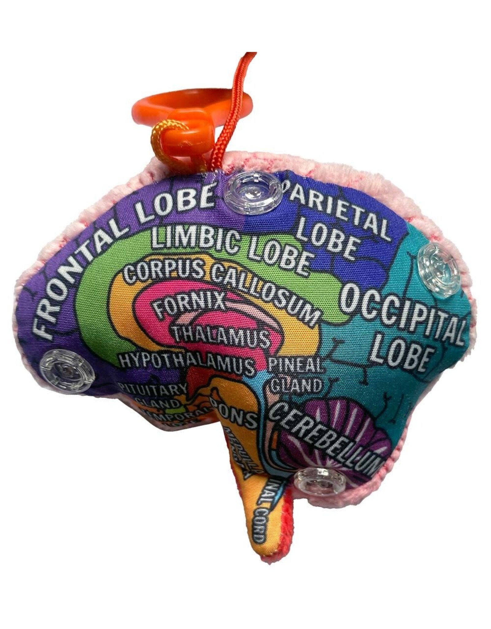 Giant Microbes Giant Microbes Brain Model Keychain