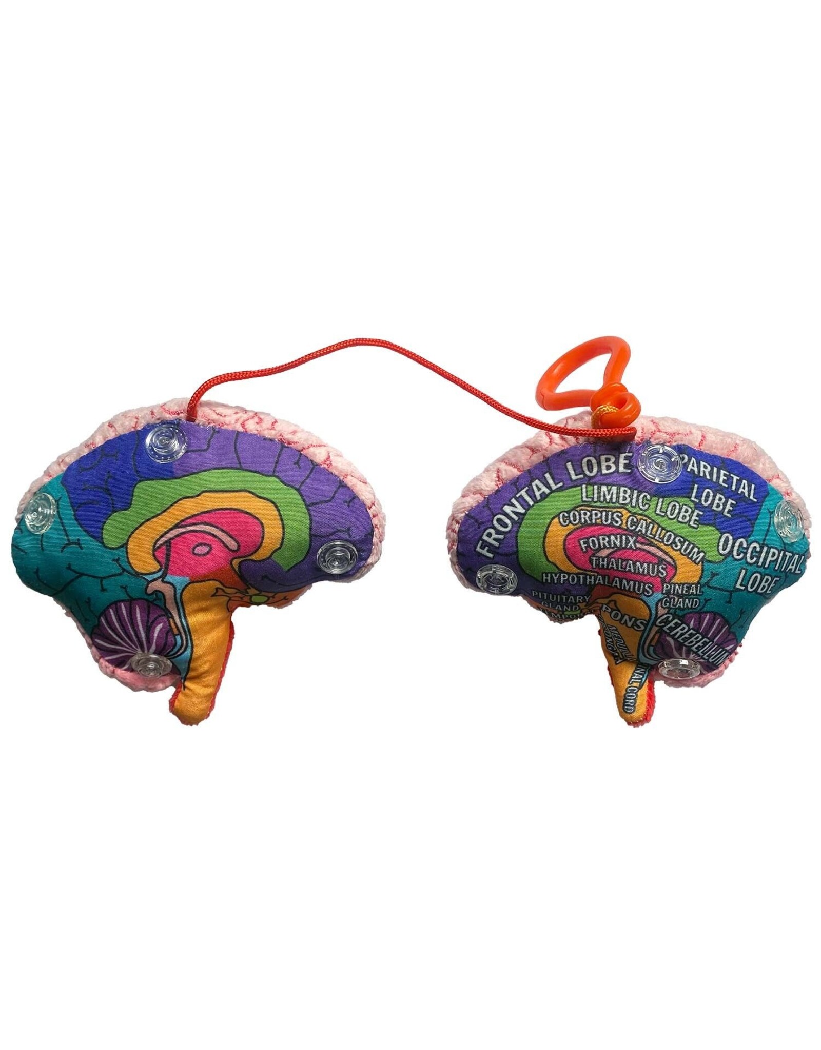 Giant Microbes Giant Microbes Brain Model Keychain