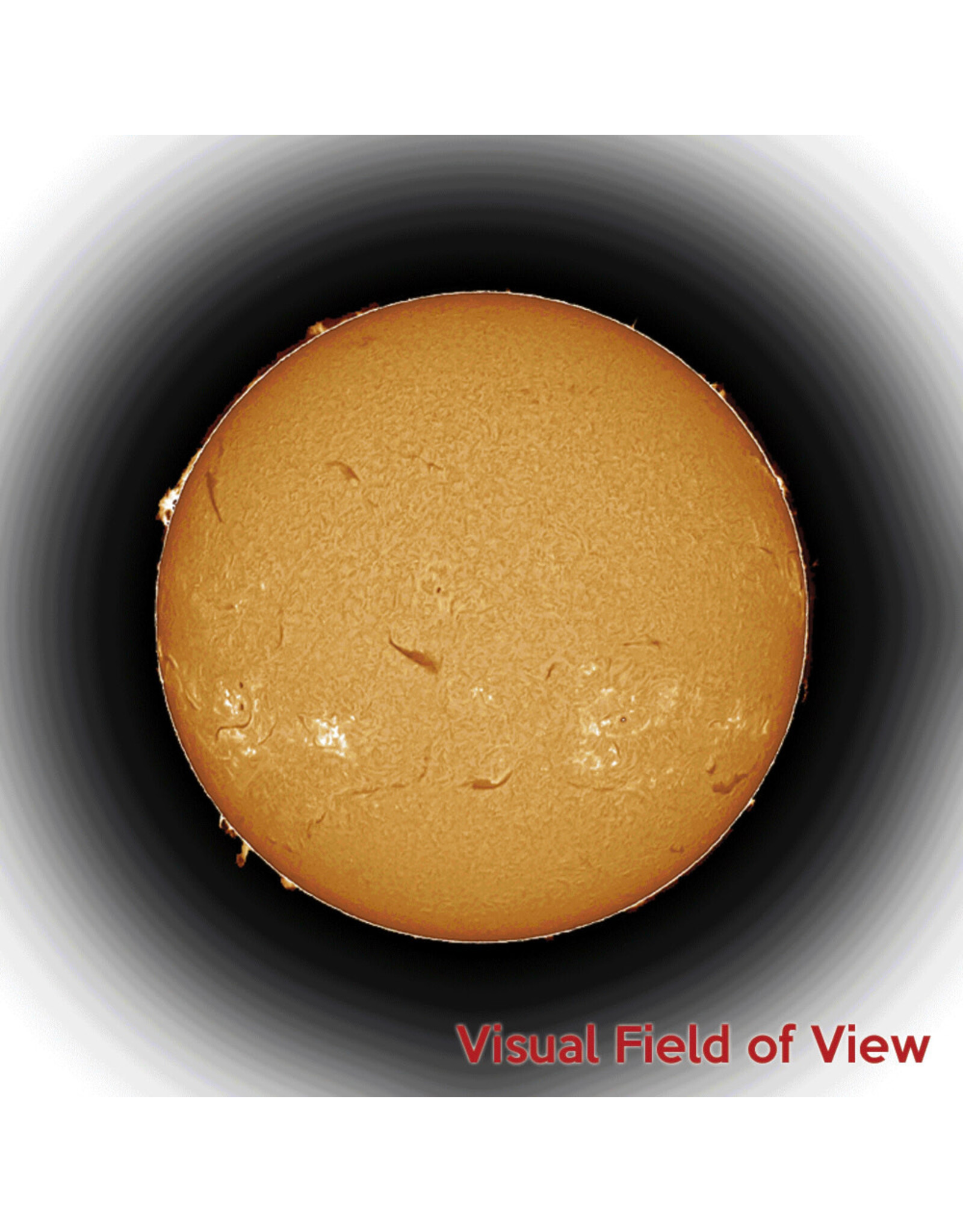 DayStar Daystar SOL-60 H-alpha Telescope