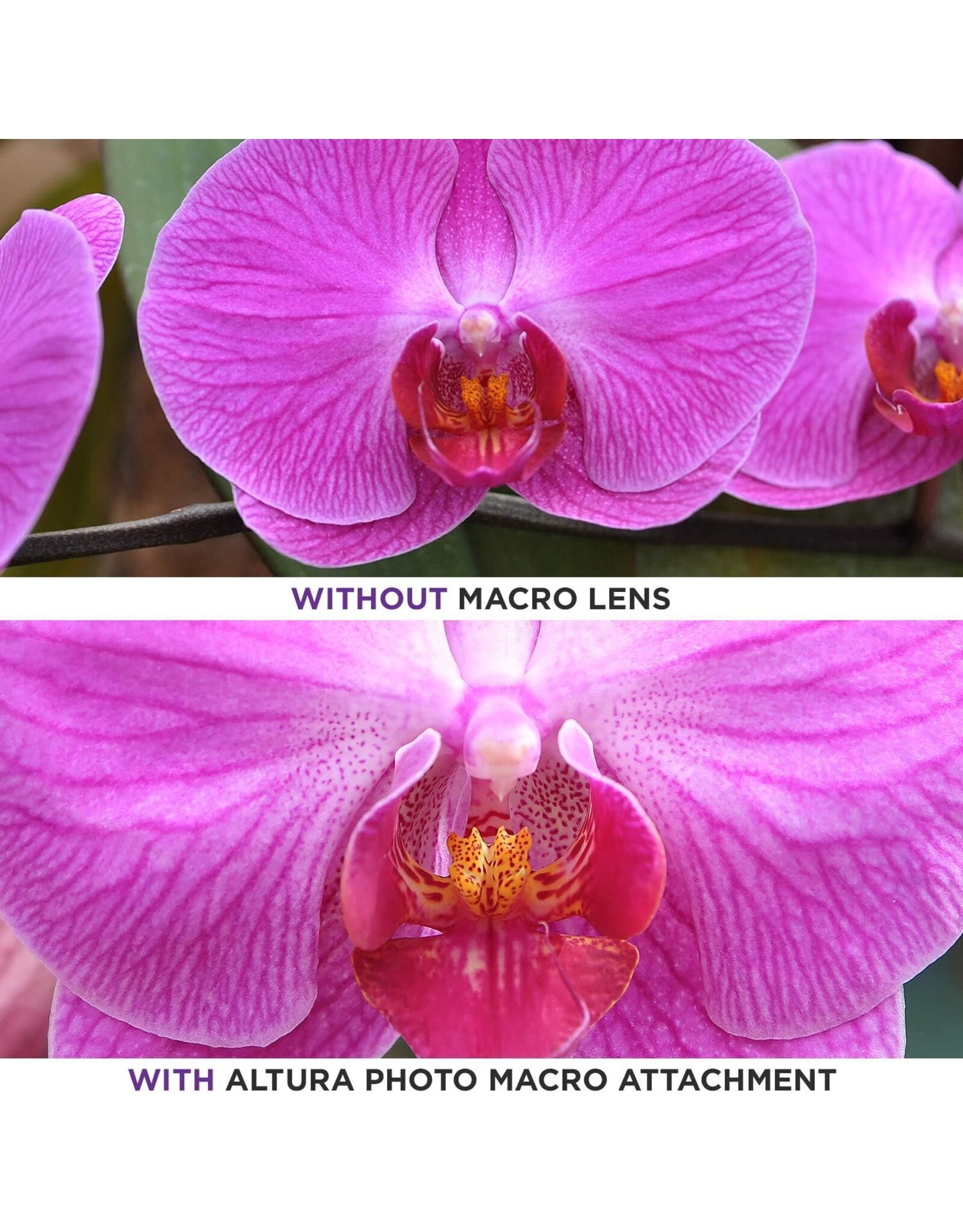 Vivitar Altura Photo 58MM 0.35x Fisheye Wide Angle Lens (w/Macro Portion) for DSLR Cameras