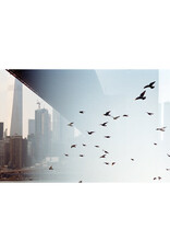 Kodak Portra 400 135-36 Pro Pack (5 Rolls)