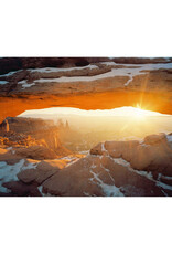 Kodak Portra 400  120 Pro Pack (5 Rolls)