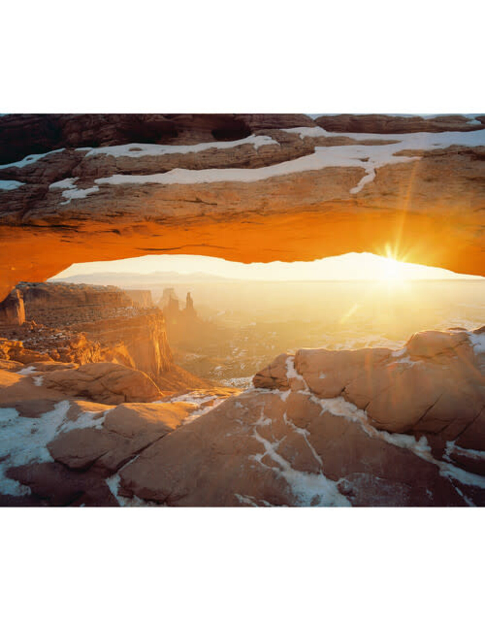 Kodak Portra 400  120 Pro Pack (5 Rolls)